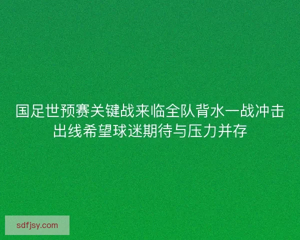 国足世预赛关键战来临全队背水一战冲击出线希望球迷期待与压力并存